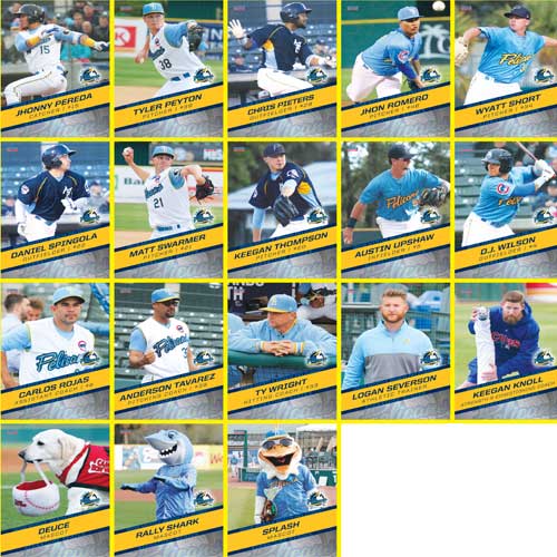 Myrtle Beach Pelicans 2018 Team Set