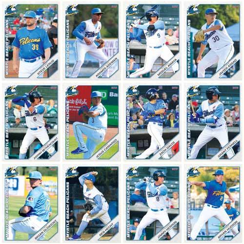 Myrtle Beach Pelicans 2019 Team Set