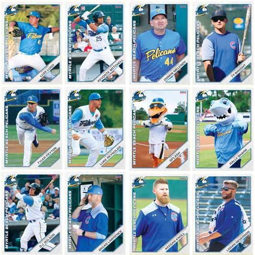 Myrtle Beach Pelicans 2019 Team Set