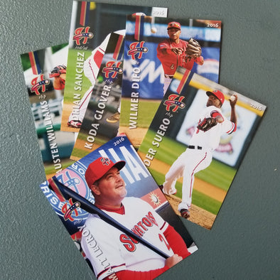 Harrisburg Senators 2016 Harrisburg Senators Team Set