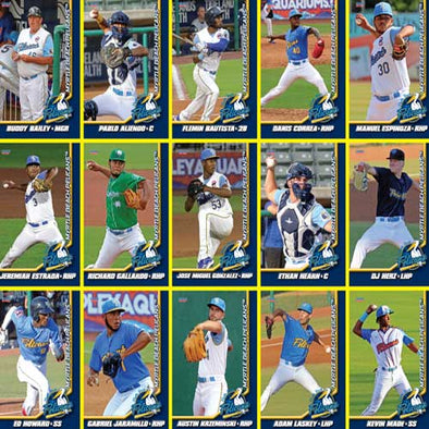 MYRTLE BEACH PELICANS 2021 TEAM SET