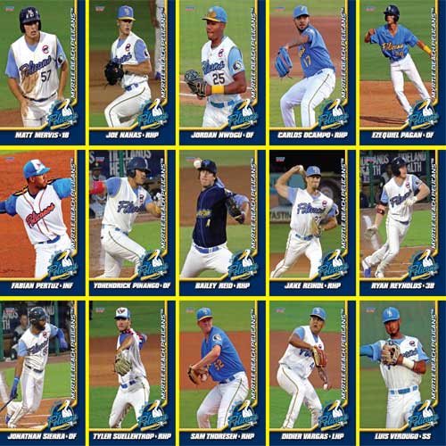 Myrtle Beach Pelicans Choice Sportscards 2021 Team Set