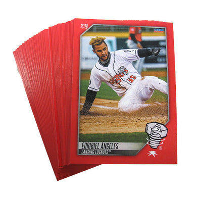 Lansing Lugnuts 2022 Team Card Set