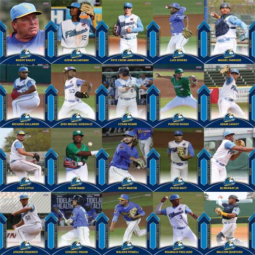 Myrtle Beach Pelicans 2022 Team Set