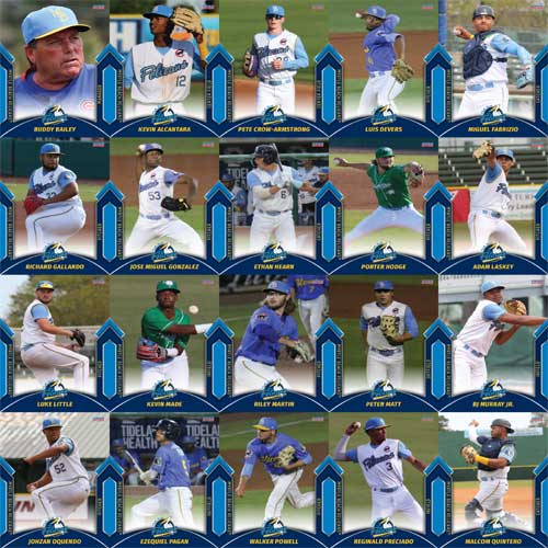 Myrtle Beach Pelicans Choice Sportscards 2022 Team Set