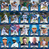 Myrtle Beach Pelicans 2022 Team Set