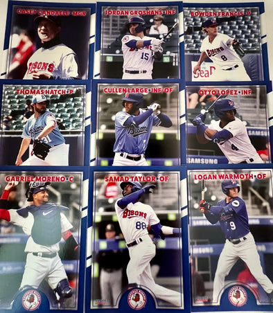 Buffalo Bisons 2022 Team Card Set