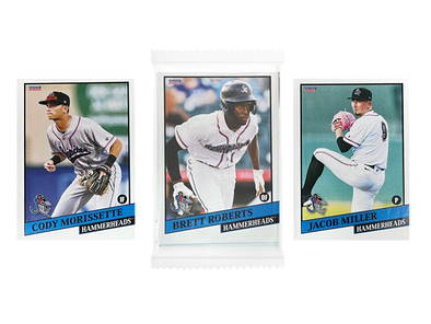 2023 Jupiter Hammerheads Team Set