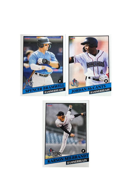 2023 Jupiter Hammerheads Team Set