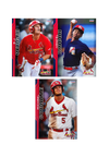 2023 Palm Beach Cardinals Team Set