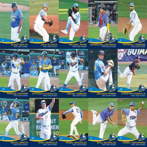 Myrtle Beach Pelicans 2023 Team Set