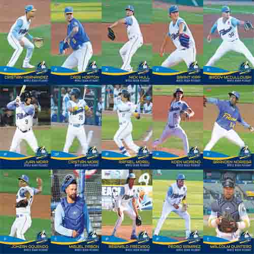 Myrtle Beach Pelicans Choice Sportscards 2023 Team Set
