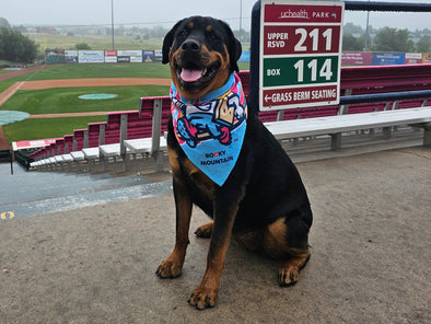 Dog Bandana