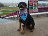 Dog Bandana