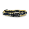 Blue Riders Dog Collar