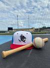 Jupiter Hammerheads 2024 BP Cap