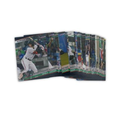 Norfolk Tides 2024 Team Set