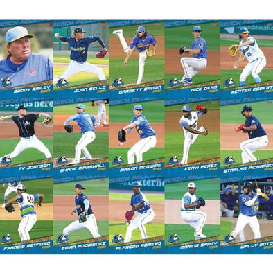 MYRTLE BEACH PELICANS 2024 TEAM SET