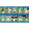 Myrtle Beach Pelicans Choice Sportscards 2024 Team Set