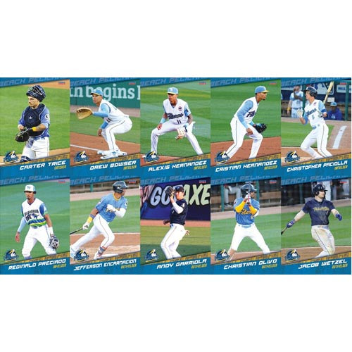 Myrtle Beach Pelicans Choice Sportscards 2024 Team Set