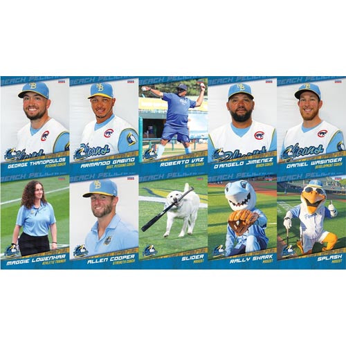 Myrtle Beach Pelicans Choice Sportscards 2024 Team Set