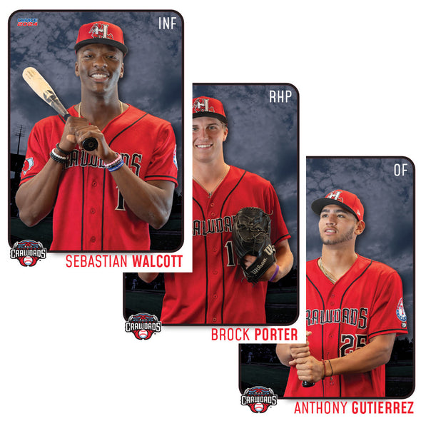 Hickory Crawdads 2024 Team Card Set #1