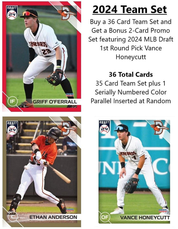 Delmarva Shorebirds 2024 Team Set + Promo Set