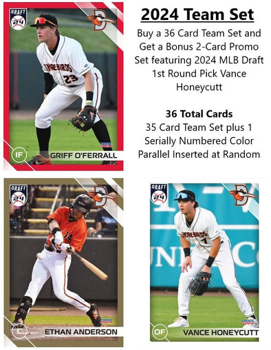 Delmarva Shorebirds 2024 Team Set + Promo Set