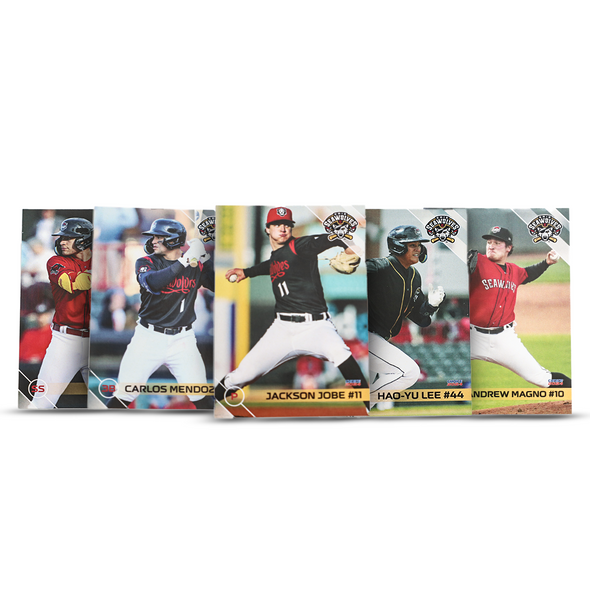 2024 Erie SeaWolves Team Set