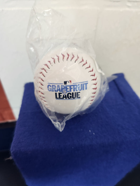 ST25 Detroit Tigers ST Logo Baseball