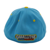 Norfolk Tides Caballitos Del Mar De Norfolk Flex Fit Hat