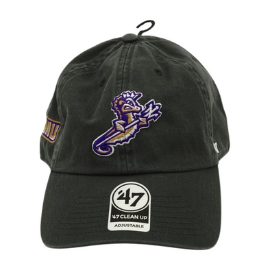 Norfolk Tides JMU College Collab Hat