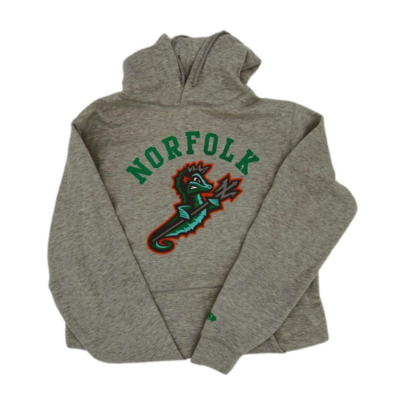Norfolk Tides New Era Adult Hoodie