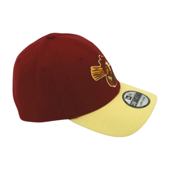 Norfolk Tides Norfolk Tandangs 39Thirty Flex Fit Hat