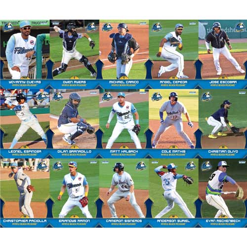 Myrtle Beach Pelicans Choice Sportscards 2025 Team Set