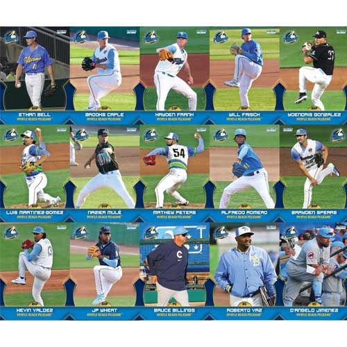 Myrtle Beach Pelicans Choice Sportscards 2025 Team Set