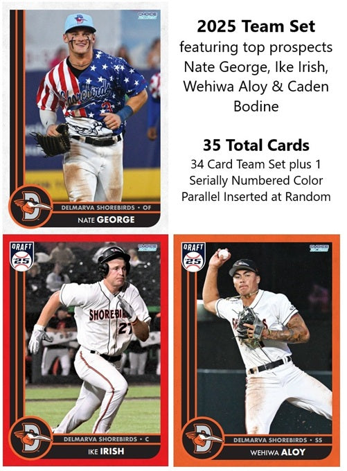 Delmarva Shorebirds 2025 Team Set