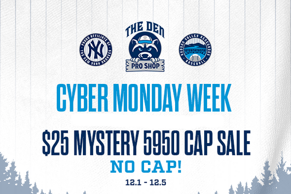 $25 MYSTERY Official 5950 On-Field HV Renegades Fitted CAP