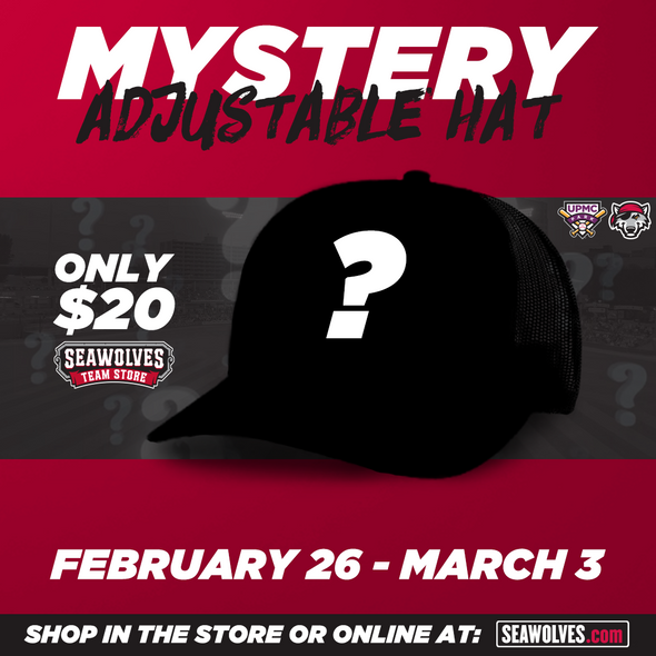 Erie SeaWolves Mystery Adjustable Hat