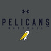 Myrtle Beach Pelicans Under Armour Carbon Heather Script Tech Tee