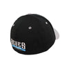 Las Vegas Reyes de Plata New Era Skull Black/Gray 39THIRTY Stretch Fit Hat