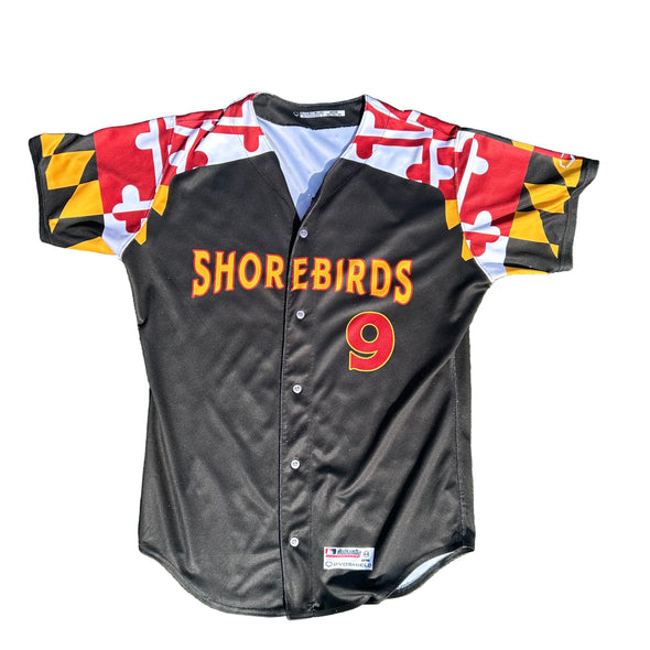 Delmarva Shorebirds EVOSHIELD Maryland Pride Game Worn Signed Jersey