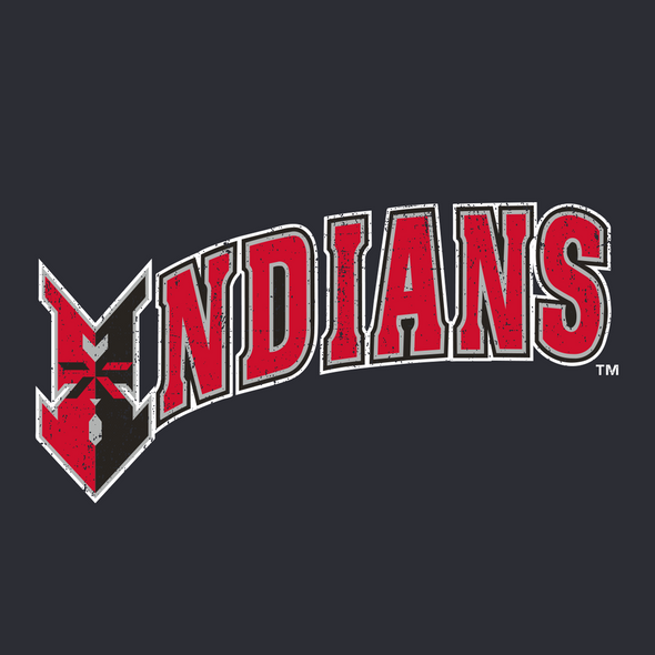 Indianapolis Indians Adult Black Paul Skenes Player Wordmark Tee