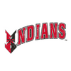 Indianapolis Indians Adult White Paul Skenes Player Wordmark Tee