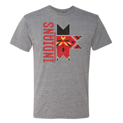 Indianapolis Indians Adult Grey Split Screen Tee