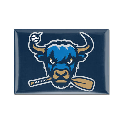Salem RidgeYaks Refrigerator Magnet