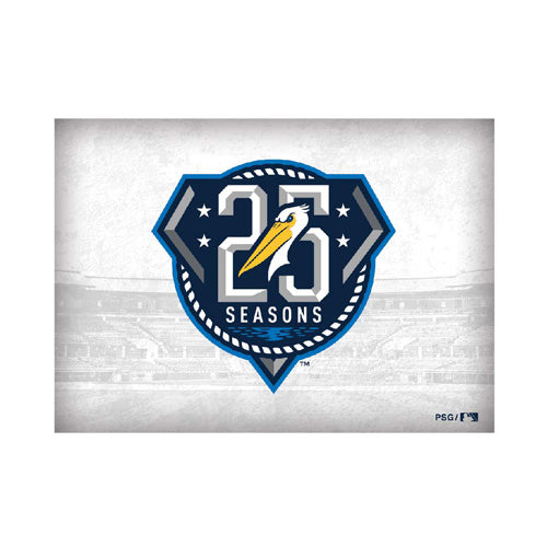 Myrtle Beach Pelicans Pro Specialties Group 25 Seasons 2"x3" Magnet