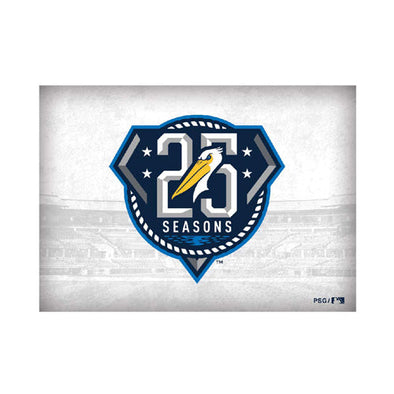 MYRTLE BEACH PELICANS PRO SPECIALTIES GROUP 25 SEASONS 2X3 MAGNET