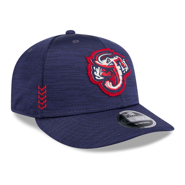 Jacksonville Jumbo Shrimp New Era 2024 Clubhouse Low Profile 9Fifty