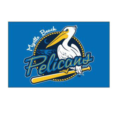 MYRTLE BEACH PELICANS WINCRAFT METAL 2"X 3" PRIMARY LOGO FRIDGE MAGNET